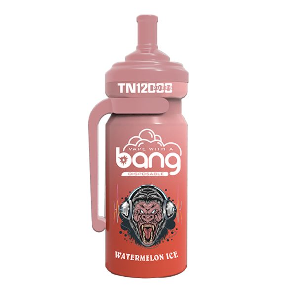 bang NT 12000-7 Vape Bang NT 12000 puff 12K E-cigarette - 10 SZTUK/1 pudełko