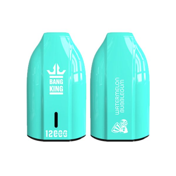 bang king 12000 puff-12 Bang King 12000 | Odkryj Bang King Vape 12000