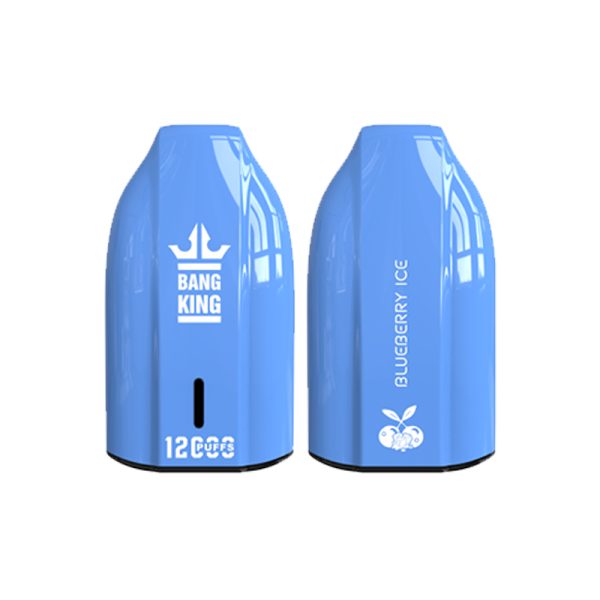 bang king 12000 puff-3 Bang King 12000 | Odkryj Bang King Vape 12000