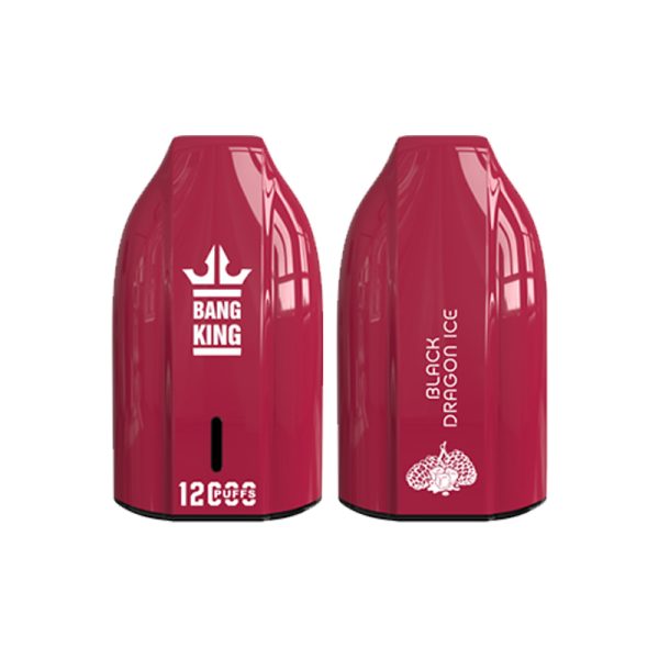 bang king 12000 puff-6 Bang King 12000 | Odkryj Bang King Vape 12000